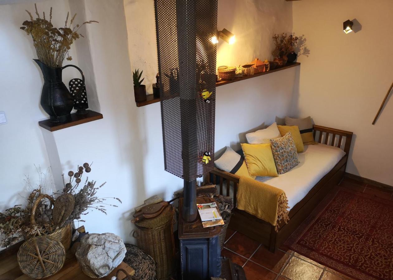 Villa Toca Do Esquilo - Montesinho à Montezinho Extérieur photo
